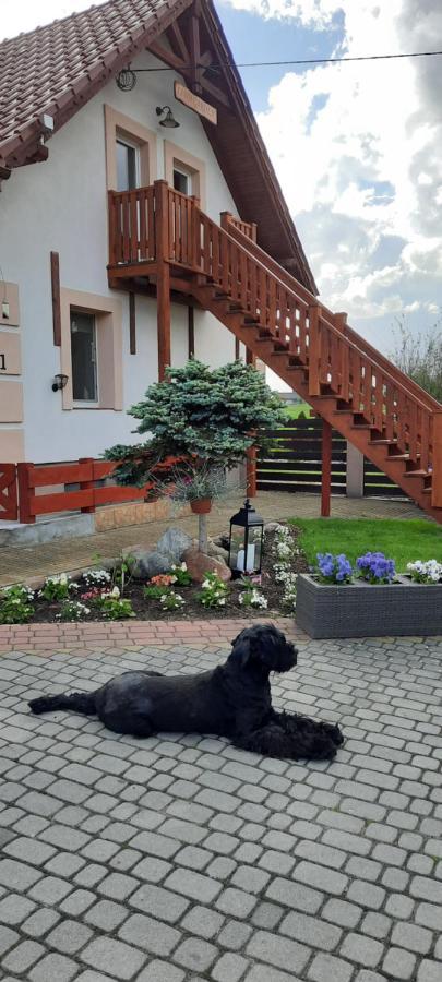 Liwa Garden Krzywa 11 Appartement Buitenkant foto